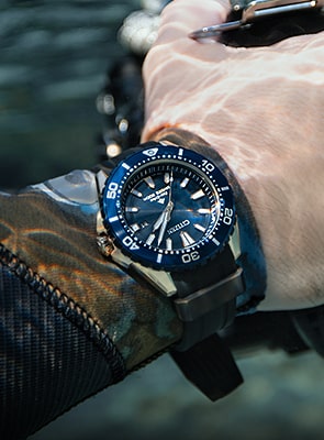 Citizen Protmaster Sea Watch